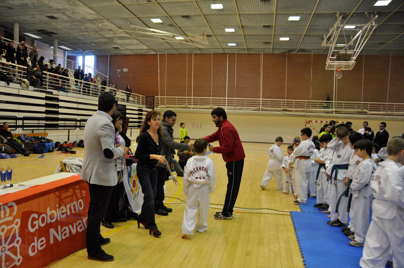 FOTOGRAF&Iacute;AS II D&Iacute;A DEL TAEKWONDO INFANTIL SOLIDARIO